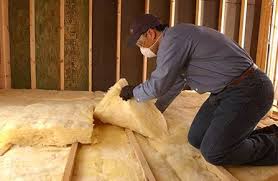 Best Eco-Friendly or Green Insulation Solutions  in Fort Dix, NJ